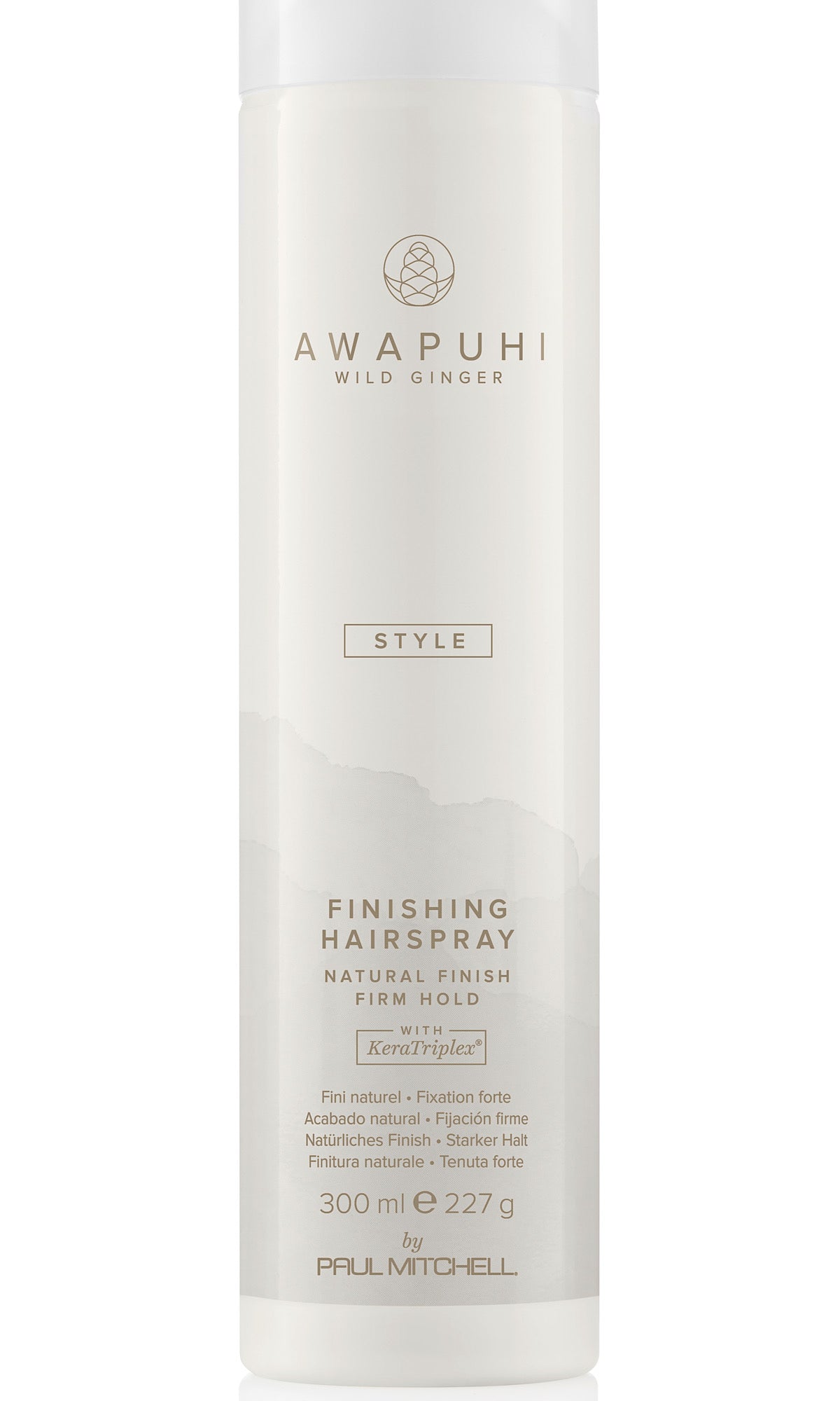 Finishing Spray
