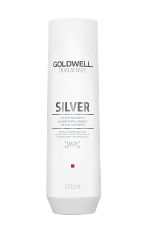Goldwell Dualsenses Silver Shampoo 250 ml – Anti-Gelbstich Shampoo für blondes & graues Haar