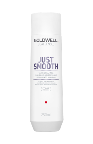 Goldwell Dualsenses Just Smooth Taming Shampoo – Glättendes Shampoo für widerspenstiges Haar