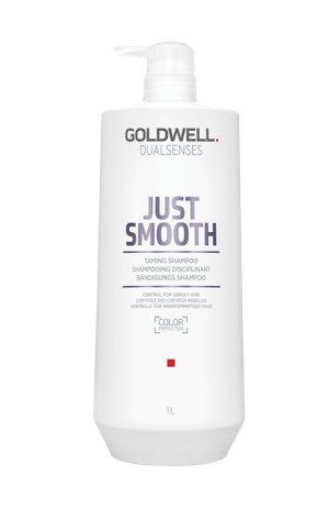 Goldwell Dualsenses Just Smooth Taming Shampoo – Glättendes Shampoo für widerspenstiges Haar