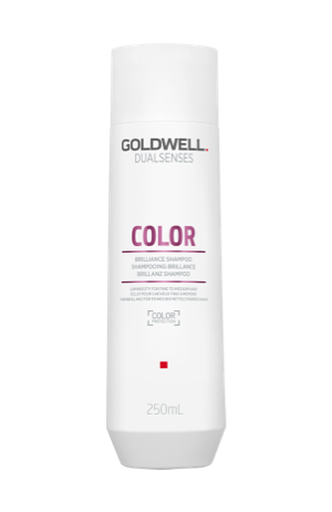 Goldwell Dualsenses Color Brilliance Shampoo – Leichte Pflege & Schutz für coloriertes Haar