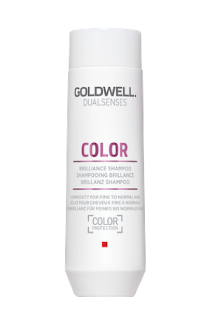 Goldwell Dualsenses Color Brilliance Shampoo – Leichte Pflege & Schutz für coloriertes Haar
