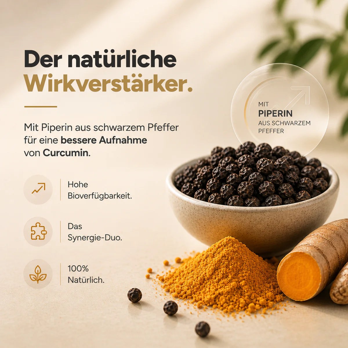 NaroVital Curcuma Ingwer Plus – Für aktives Wohlbefinden & natürliche Balance