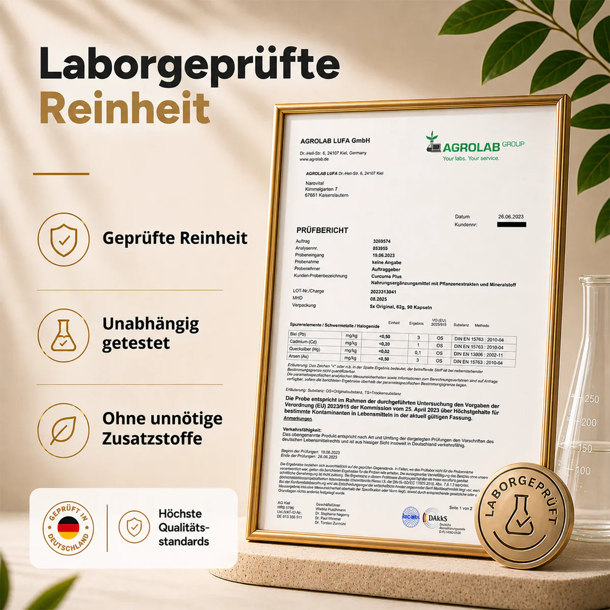 NaroVital Curcuma Ingwer Plus – Für aktives Wohlbefinden & natürliche Balance