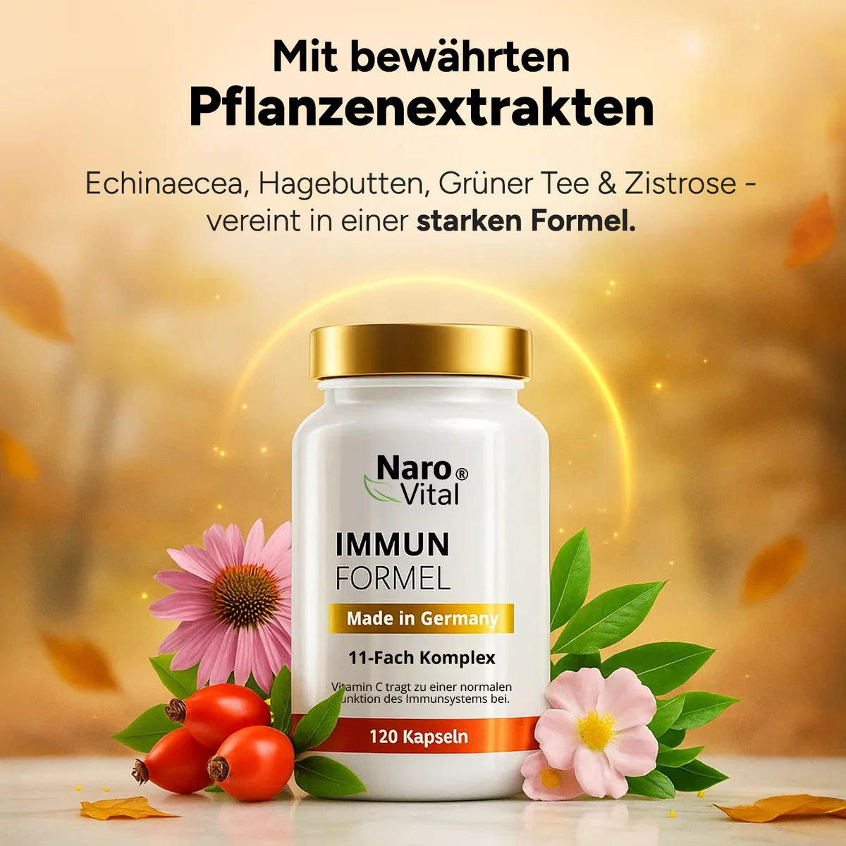 NaroVital Immun Formel – Unterstützung für dein Immunsystem